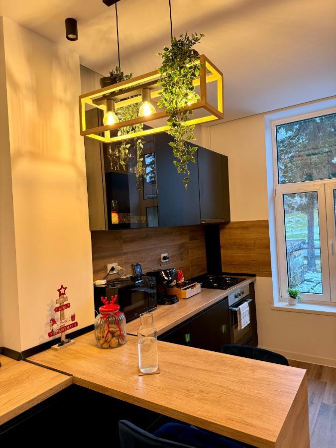 Lv Luxury Apart - One Minute Away From Train Station Predeal Bagian luar foto