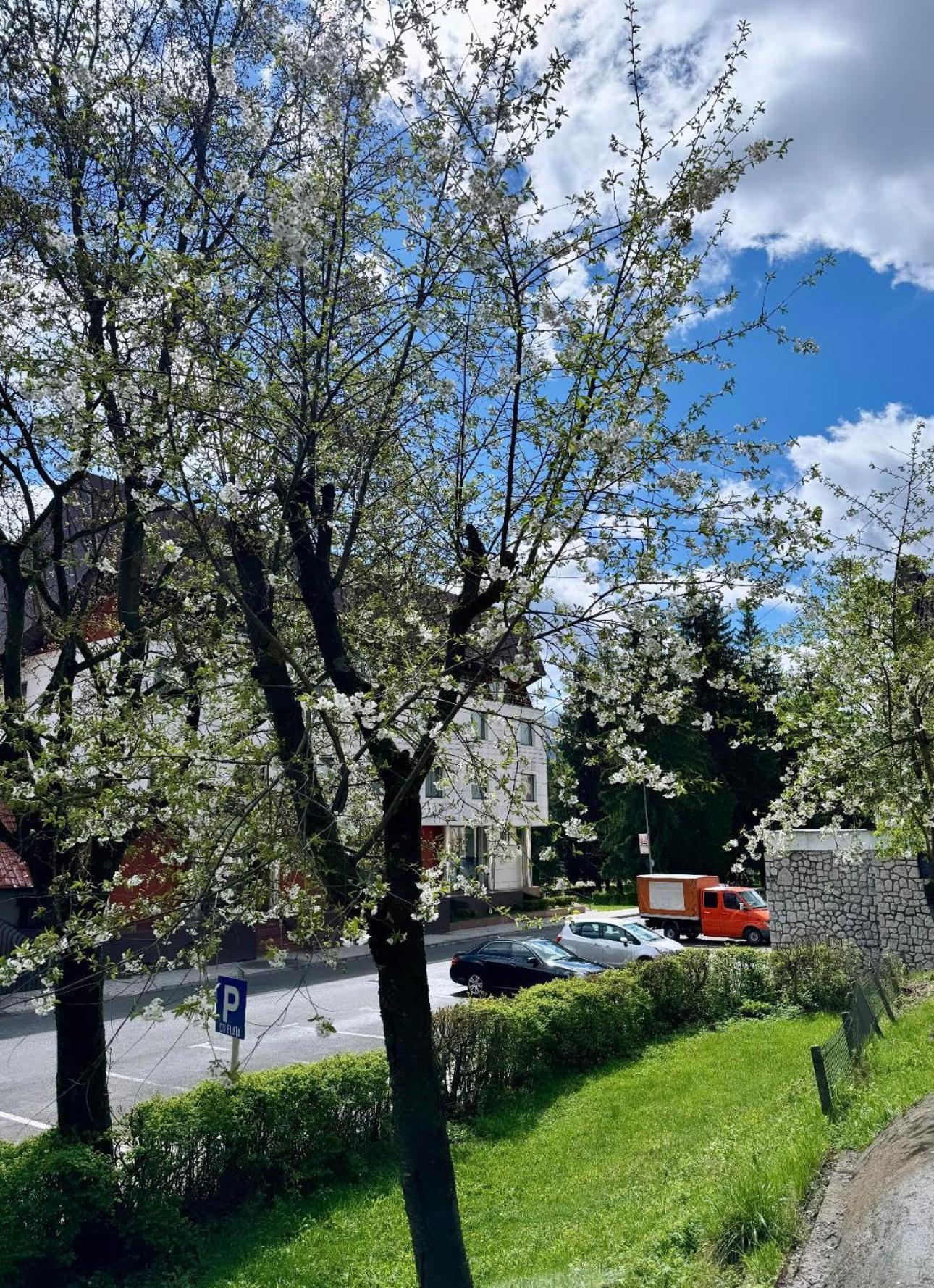 Lv Luxury Apart - One Minute Away From Train Station Predeal Bagian luar foto
